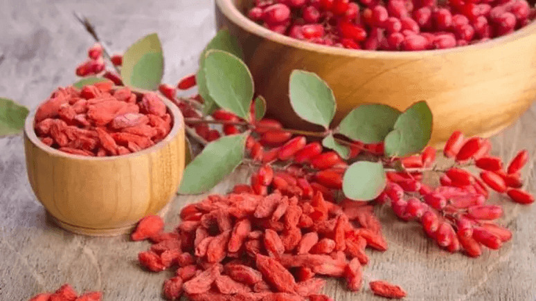 Berberina no controle da glicemia e na microbiota.